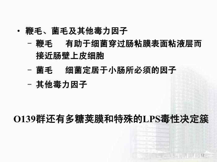 【醫學PPT課件】弧菌屬  醫學微生物學教學課件第12頁