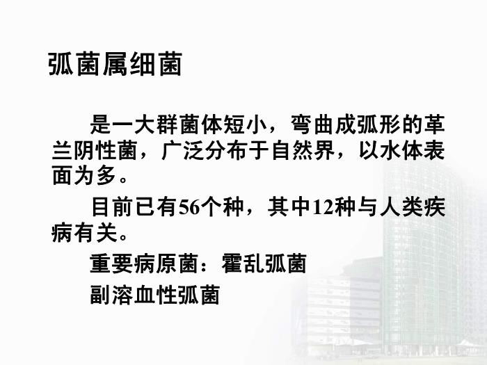 【醫學PPT課件】弧菌屬  醫學微生物學教學課件第4頁