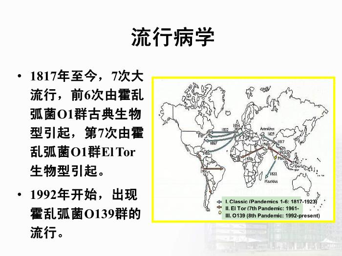 【醫學PPT課件】弧菌屬  醫學微生物學教學課件第6頁