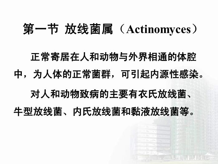 【醫學PPT課件】放線菌屬與諾卡菌屬 醫學微生物學教學課件第5頁