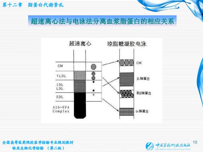 【醫學PPT課件】第12章  脂蛋白代謝紊亂 北京大學中日友好臨床醫學院第10頁