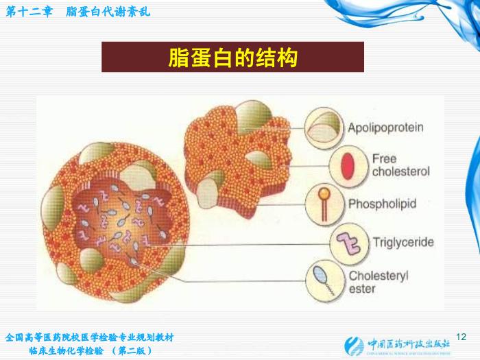 【醫學PPT課件】第12章  脂蛋白代謝紊亂 北京大學中日友好臨床醫學院第12頁