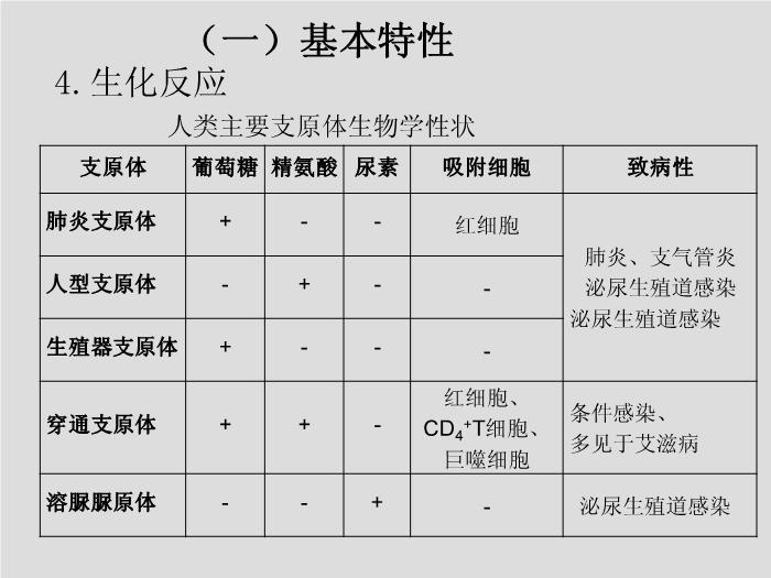 【醫學PPT課件】第17章 支原體 天津醫科大學 