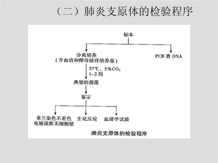 【醫學PPT課件】第17章 支原體 天津醫科大學 