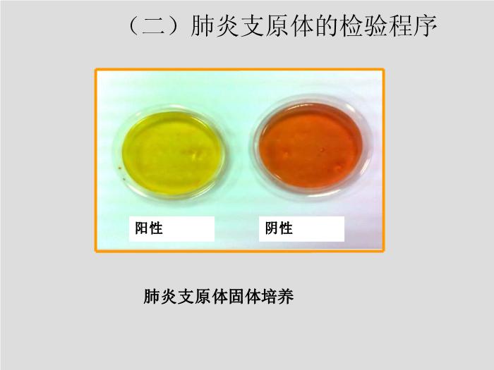 【醫學PPT課件】第17章 支原體 天津醫科大學 