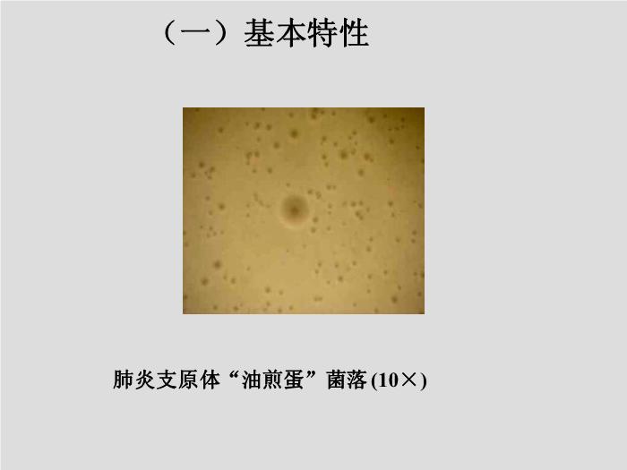 【醫學PPT課件】第17章 支原體 天津醫科大學 