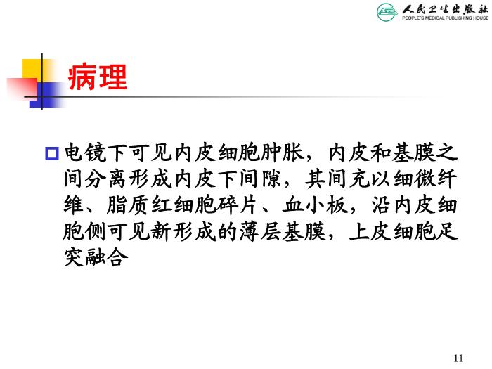 【醫學PPT課件】溶血尿毒綜合征 人衛版教學PPT課件第11頁