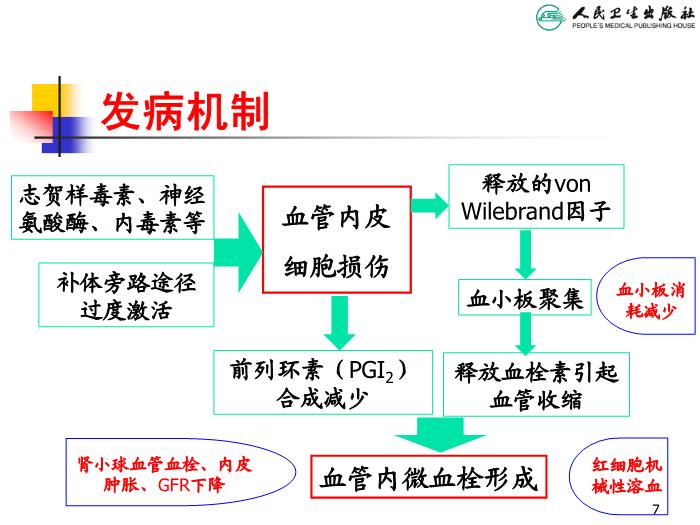 【醫學PPT課件】溶血尿毒綜合征 人衛版教學PPT課件第7頁