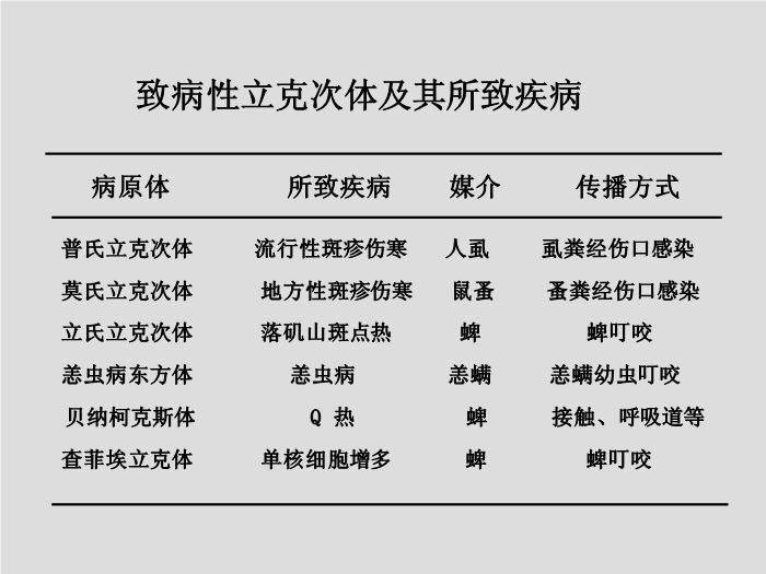 【醫學PPT課件】立克次體 第三軍醫大學  汪正清第7頁