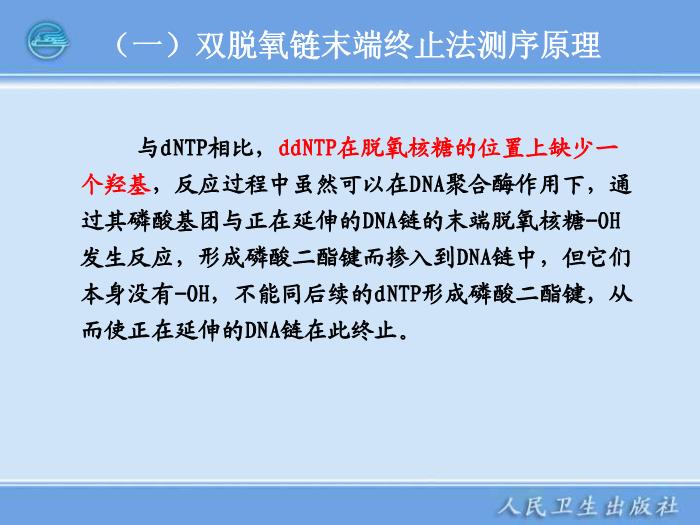 【醫學PPT課件】全自動DNA測序儀和蛋白質自動測序儀臨床檢驗儀器學第11頁