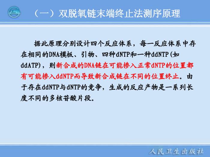 【醫學PPT課件】全自動DNA測序儀和蛋白質自動測序儀臨床檢驗儀器學第12頁