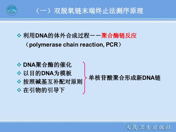 【醫學PPT課件】全自動DNA測序儀和蛋白質自動測序儀臨床檢驗儀器學第8頁