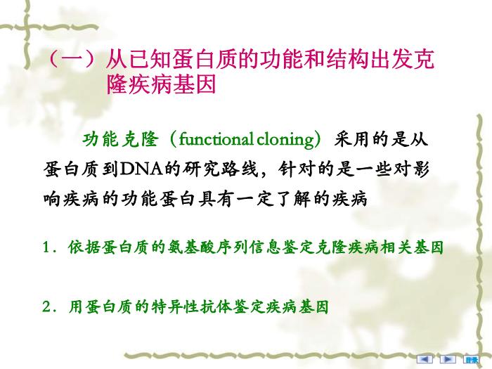 【醫學PPT課件】疾病相關基因的鑒定與基因功能研究 醫學微生物學教學課件第10頁