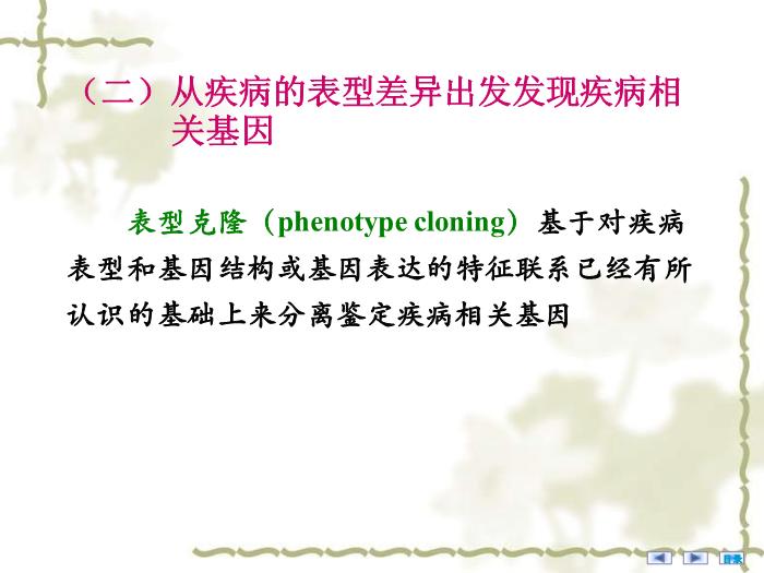 【醫學PPT課件】疾病相關基因的鑒定與基因功能研究 醫學微生物學教學課件第11頁