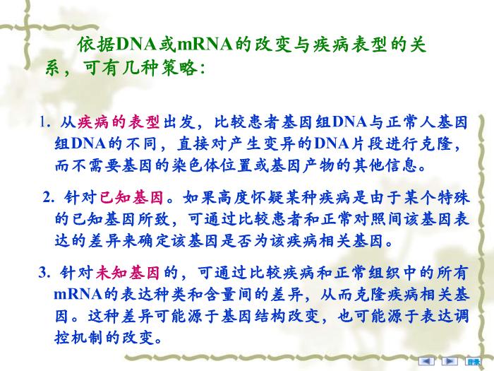 【醫學PPT課件】疾病相關基因的鑒定與基因功能研究 醫學微生物學教學課件第12頁