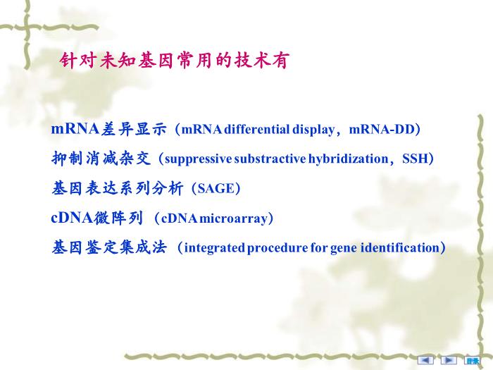 【醫學PPT課件】疾病相關基因的鑒定與基因功能研究 醫學微生物學教學課件第13頁