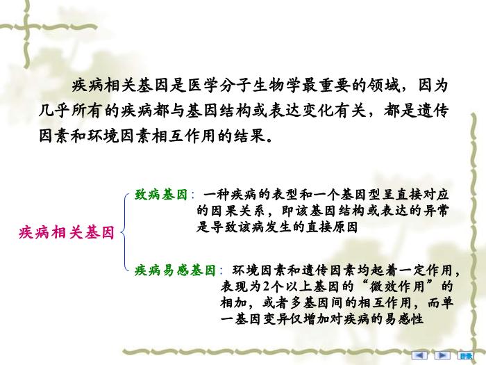 【醫學PPT課件】疾病相關基因的鑒定與基因功能研究 醫學微生物學教學課件第3頁