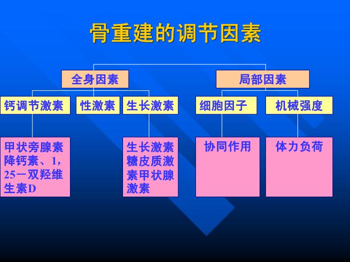 【醫學PPT課件】骨質疏松癥 重慶醫科大學附屬一院骨科第13頁