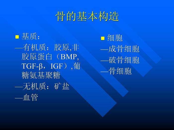 【醫學PPT課件】骨質疏松癥 重慶醫科大學附屬一院骨科第6頁