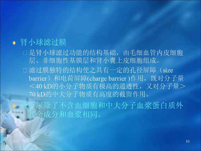 【醫學PPT課件】第17章 腎臟疾病的生物化學診斷（人衛）預覽圖（10）