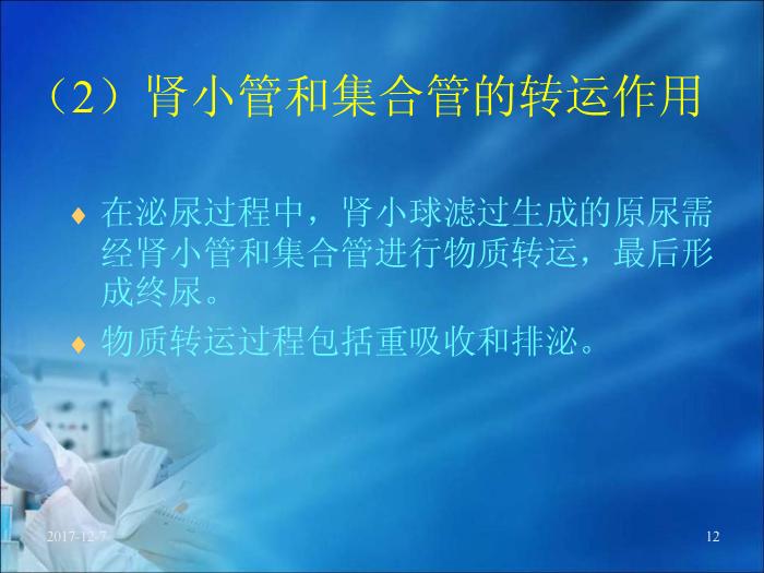 【醫學PPT課件】第17章 腎臟疾病的生物化學診斷（人衛）預覽圖（12）