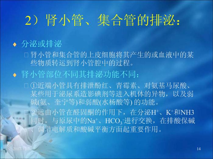 【醫學PPT課件】第17章 腎臟疾病的生物化學診斷（人衛）預覽圖（14）