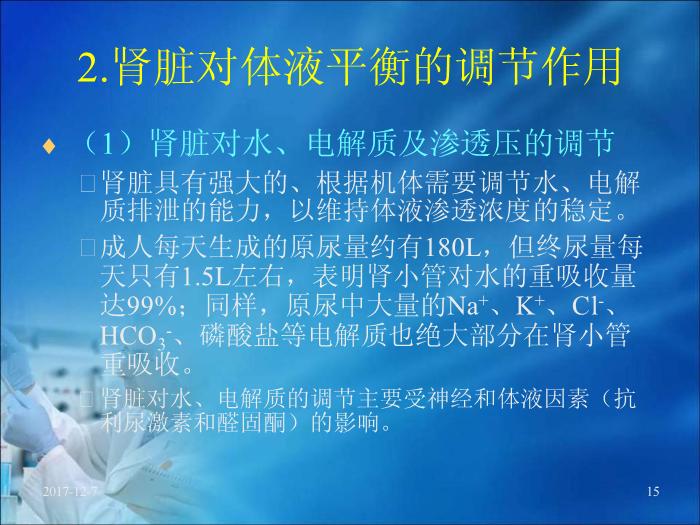 【醫學PPT課件】第17章 腎臟疾病的生物化學診斷（人衛）預覽圖（15）