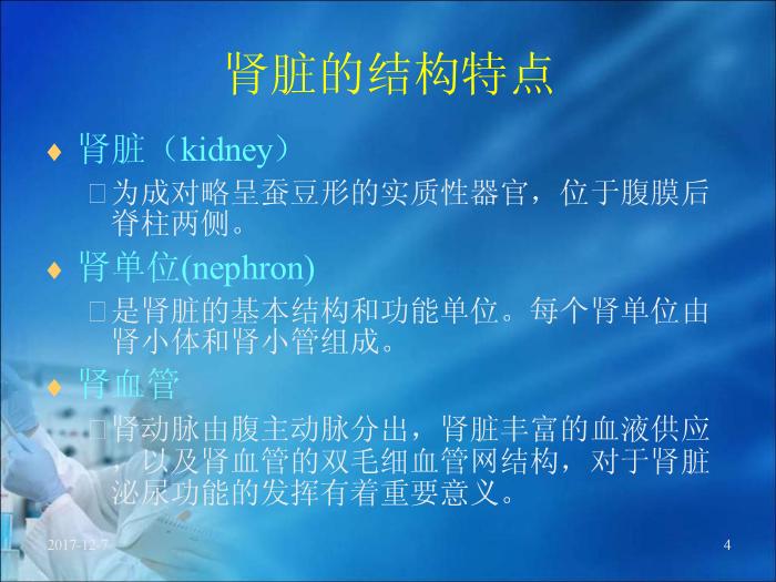 【醫學PPT課件】第17章 腎臟疾病的生物化學診斷（人衛）預覽圖（4）