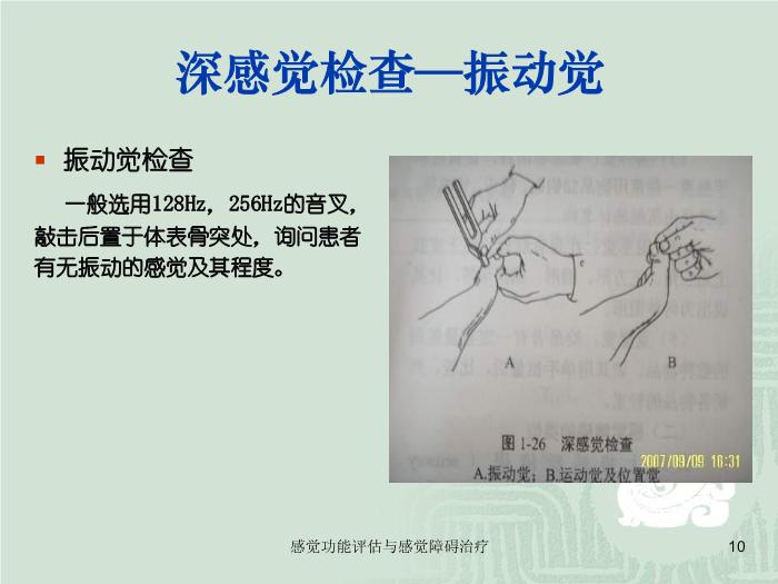 【醫學PPT課件】感覺功能的評估以及感覺障礙的治療第10頁