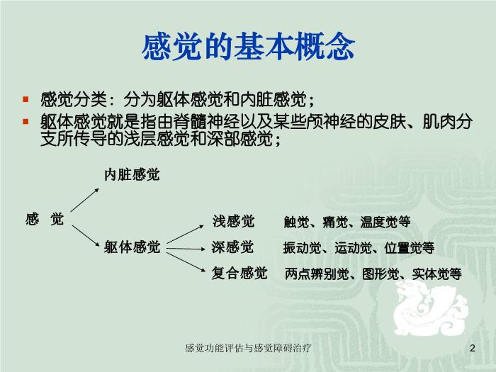【醫學PPT課件】感覺功能的評估以及感覺障礙的治療第2頁