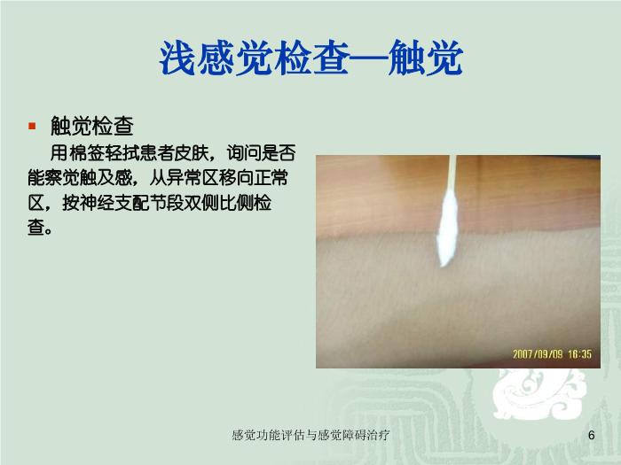 【醫學PPT課件】感覺功能的評估以及感覺障礙的治療第6頁