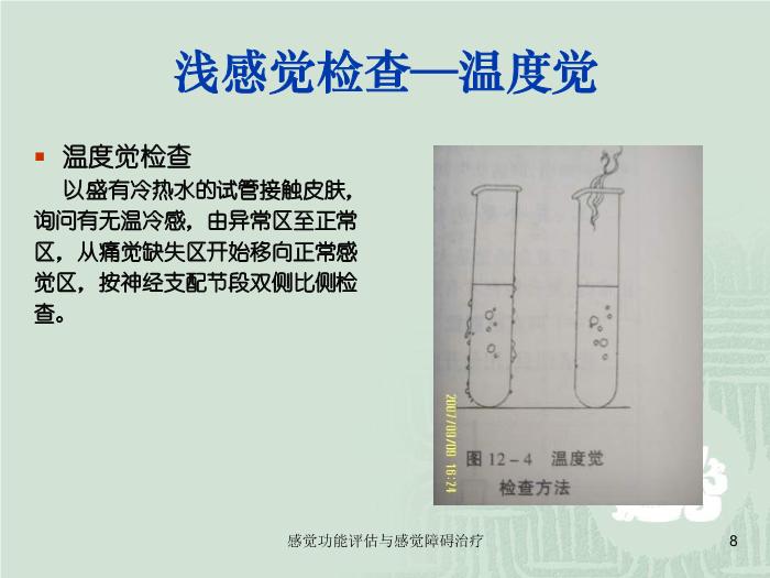 【醫學PPT課件】感覺功能的評估以及感覺障礙的治療第8頁