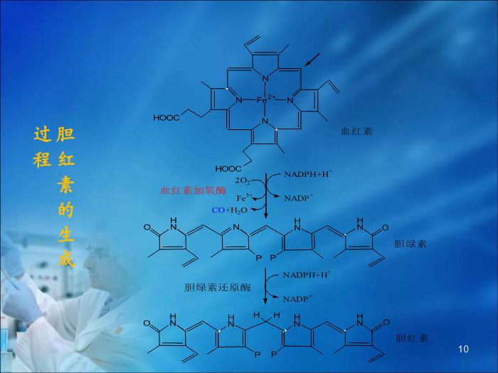 【醫學PPT課件】第16章 肝膽疾病的生物化學診斷（人衛）第10頁