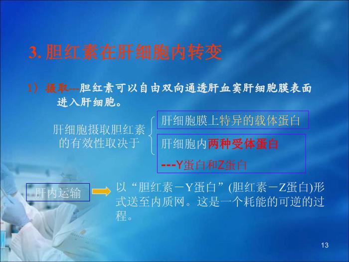 【醫學PPT課件】第16章 肝膽疾病的生物化學診斷（人衛）第13頁