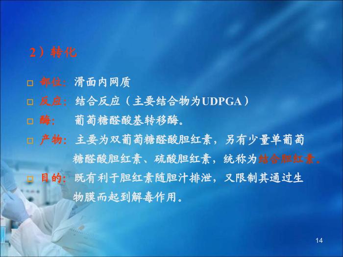 【醫學PPT課件】第16章 肝膽疾病的生物化學診斷（人衛）第14頁