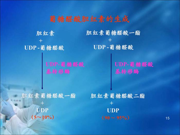 【醫學PPT課件】第16章 肝膽疾病的生物化學診斷（人衛）第15頁