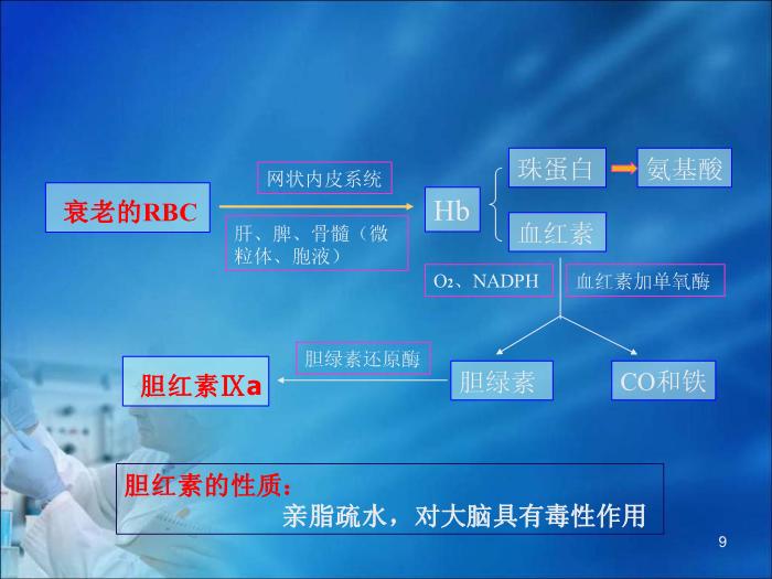 【醫學PPT課件】第16章 肝膽疾病的生物化學診斷（人衛）第9頁