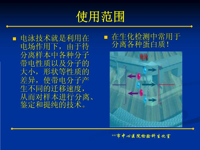 【醫學PPT課件】蛋白電泳技術的臨床應用 蛋白電泳技術和多發性骨髓瘤簡介第2頁