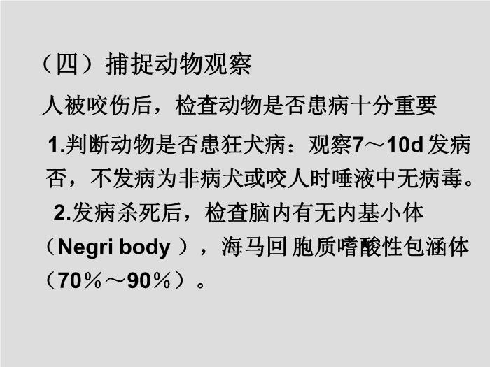 【醫學PPT課件】第30章 其他病毒、朊粒 大連醫科大學  第13頁