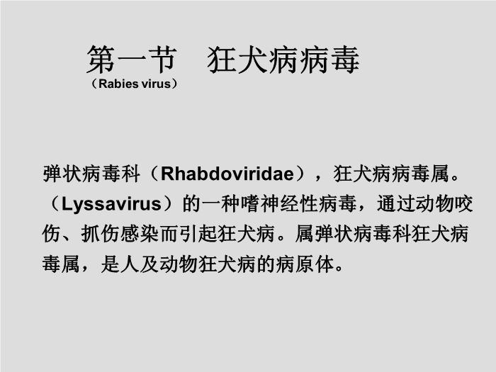 【醫學PPT課件】第30章 其他病毒、朊粒 大連醫科大學  第2頁