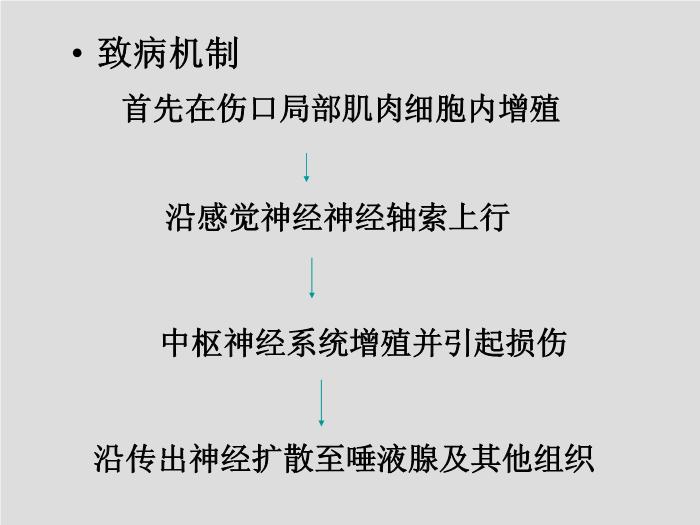 【醫學PPT課件】第30章 其他病毒、朊粒 大連醫科大學  第6頁