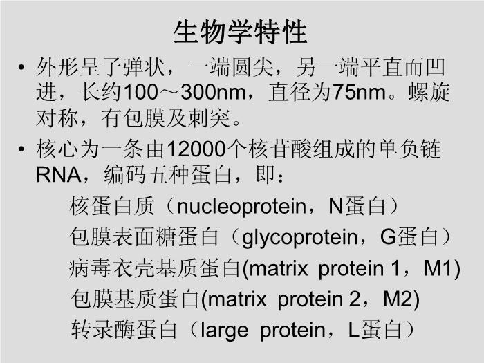 【醫學PPT課件】第30章 其他病毒、朊粒 大連醫科大學  第8頁