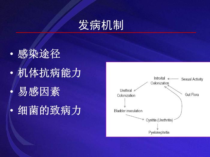 【醫學PPT課件】尿路感染UTI 復旦大學附屬華山醫院抗生素研究所第13頁