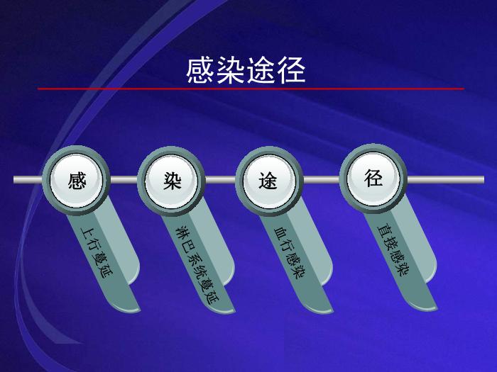 【醫學PPT課件】尿路感染UTI 復旦大學附屬華山醫院抗生素研究所第14頁