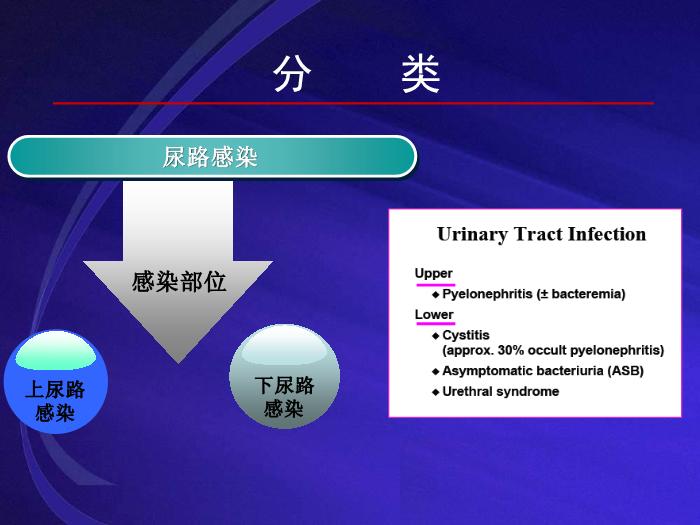 【醫學PPT課件】尿路感染UTI 復旦大學附屬華山醫院抗生素研究所第7頁