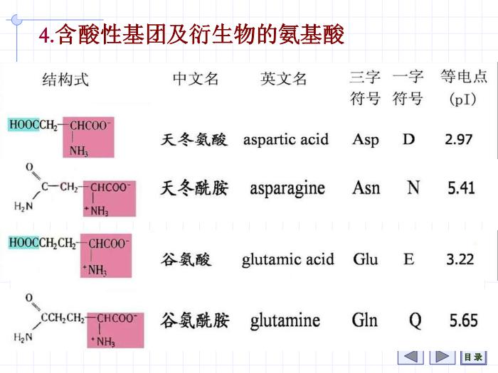 【醫學PPT課件】第1章 氨基酸 7年制第11頁