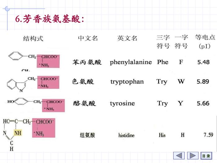【醫學PPT課件】第1章 氨基酸 7年制第13頁