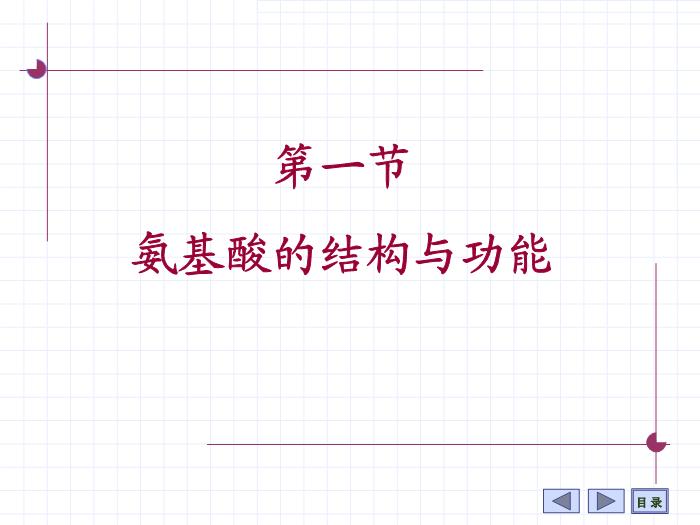 【醫學PPT課件】第1章 氨基酸 7年制第4頁