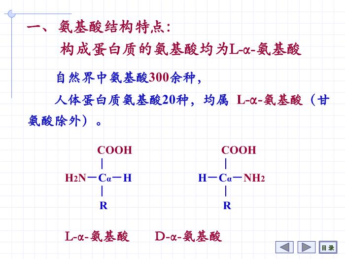 【醫學PPT課件】第1章 氨基酸 7年制第5頁