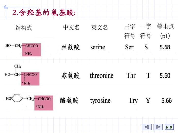【醫學PPT課件】第1章 氨基酸 7年制第9頁